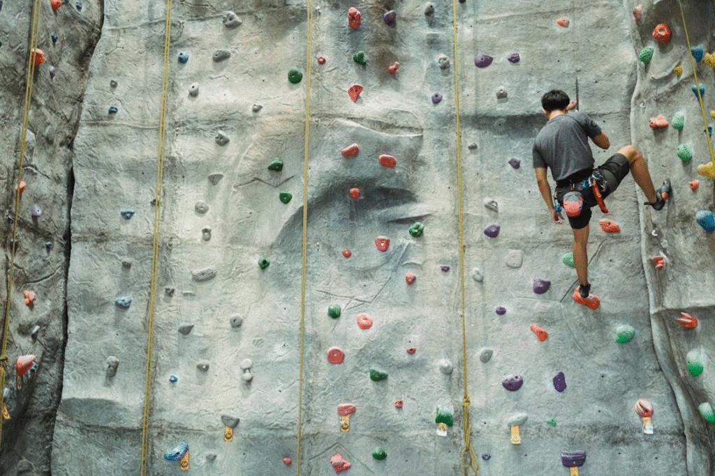 Mountain Climbers